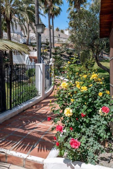 Oasis 16 Lägenhet Nerja Exteriör bild